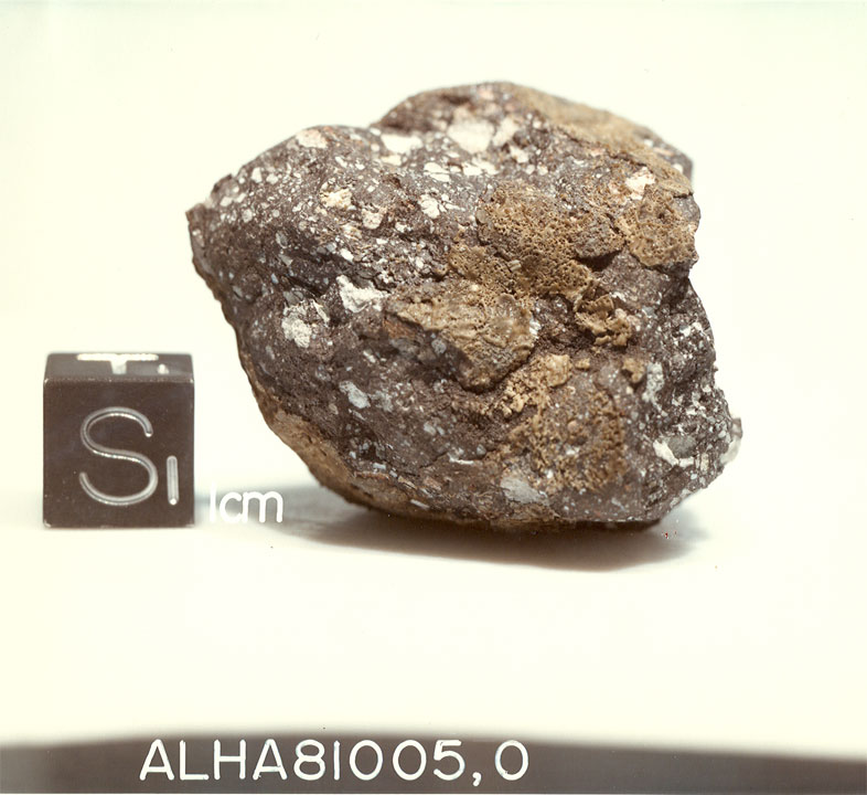 A5. South View of Sample ALHA81005