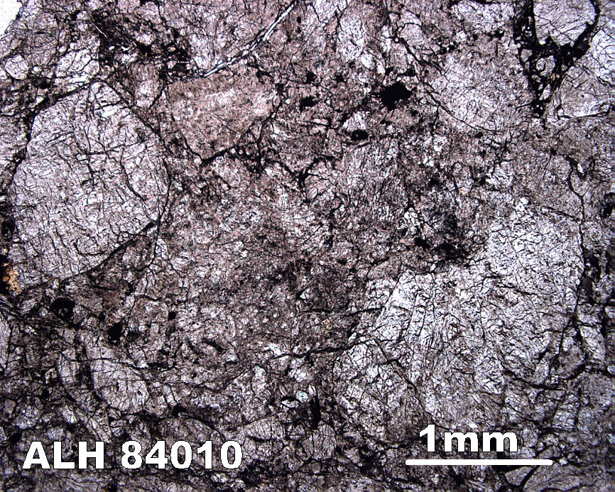 Thin Section Photograph of Sample ALH 84010 in Plane-Polarized Light