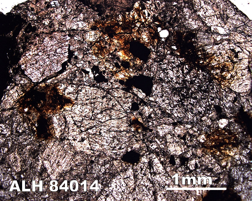 Thin Section Photograph of Sample ALH 84014 in Plane-Polarized Light