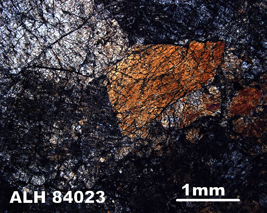 Thin Section Photograph of Sample ALH 84023 in Cross-Polarized Light