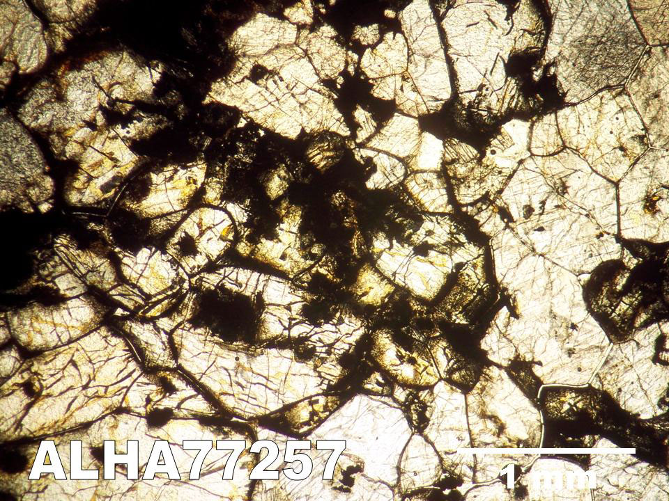 Thin Section Photograph of Sample ALHA77257 in Plane-Polarized Light