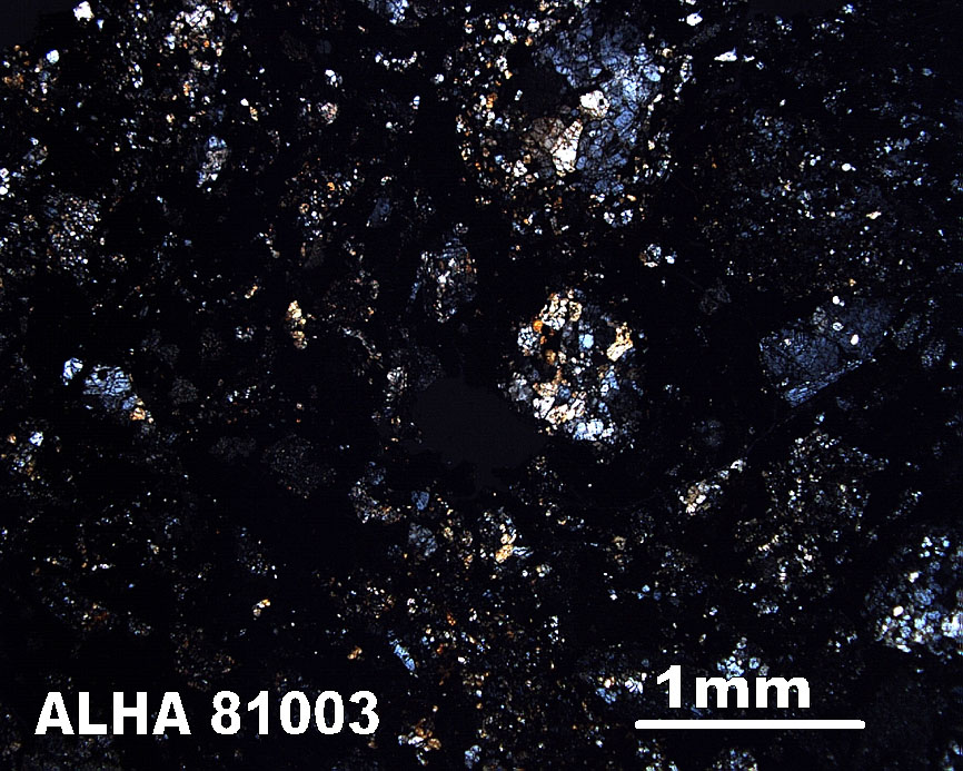Thin Section Photo of Sample ALH A81003 in Cross-Polarized Light