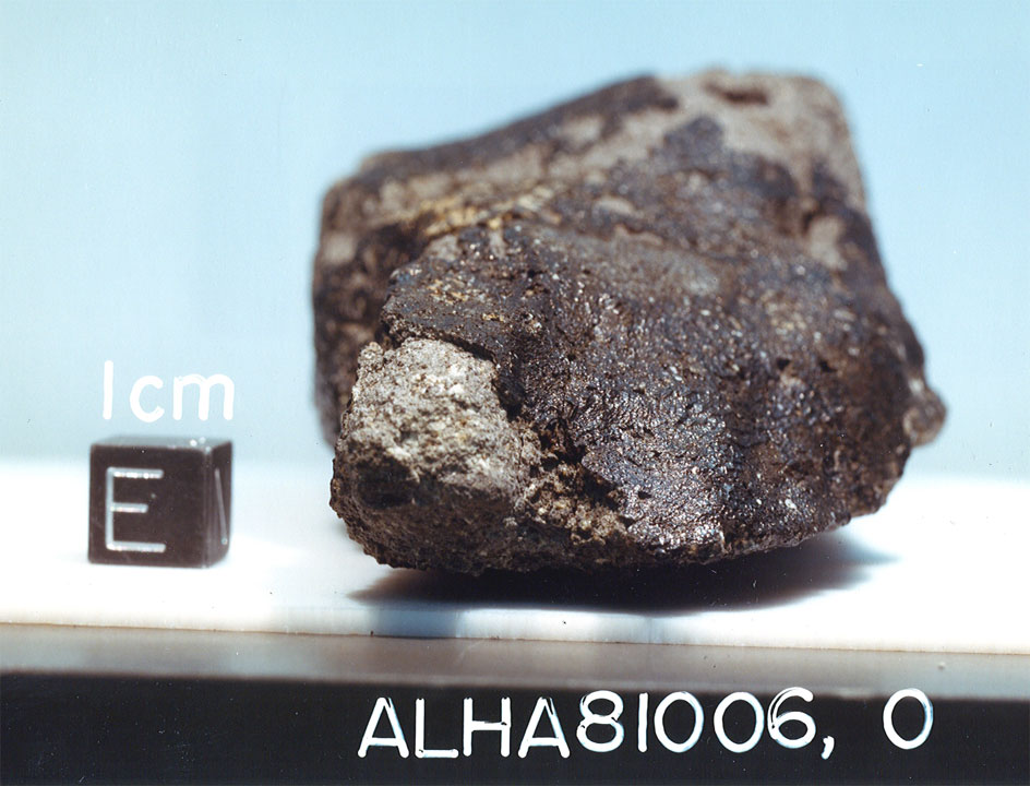 East View of Sample ALHA81006