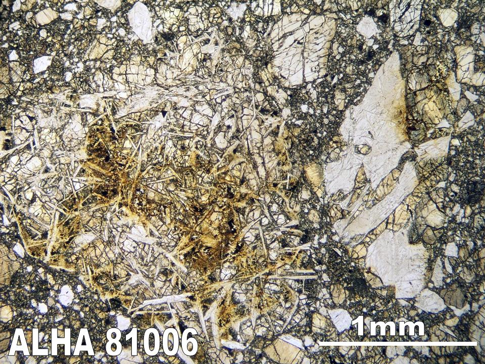 Thin Section Photograph of Sample ALHA81006 in Plane-Polarized Light