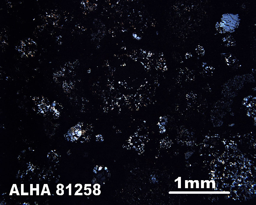Thin Section Photo of Sample ALH A81258 in Cross-Polarized Light