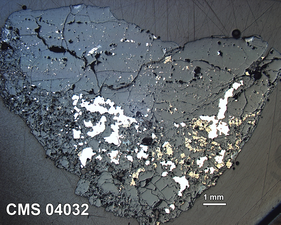 Thin Section Photograph of Sample CMS 04032 in Reflected Light