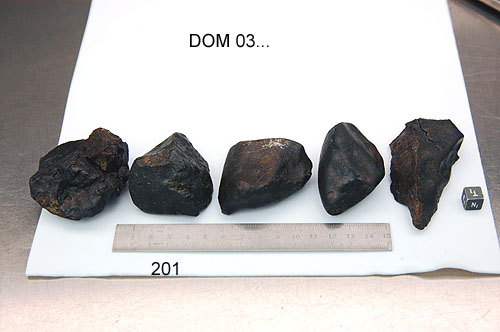 Lab Photo of Sample DOM 03201 Showing North View