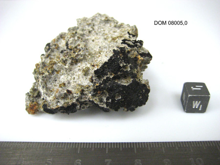 DOM 08005 Meteorite Sample Photograph Showing West View