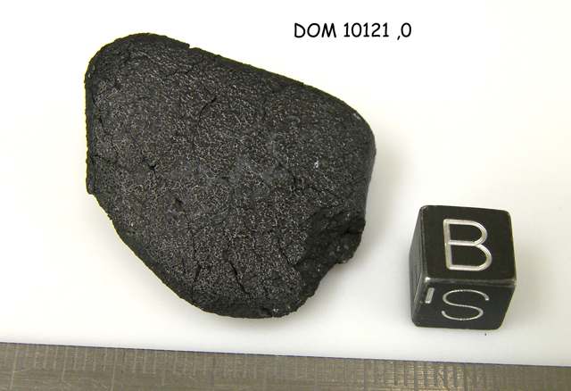 Lab Photo of Sample DOM 10121 Showing Bottom View