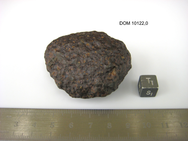 Lab Photo of Sample DOM 10122 Displaying South Orientation