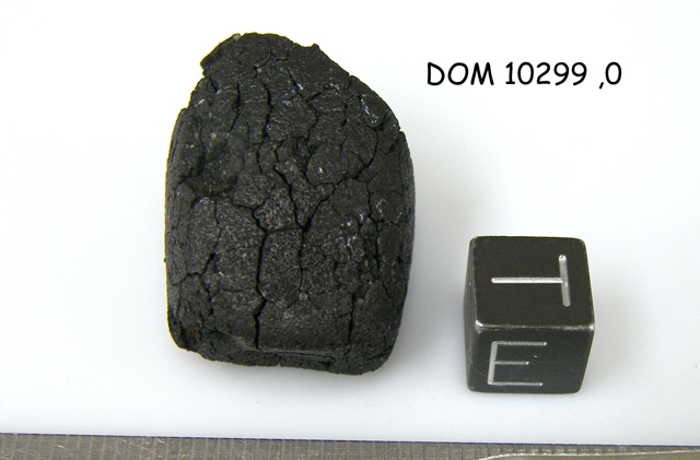 Lab Photo of Sample DOM 10299 Showing East View