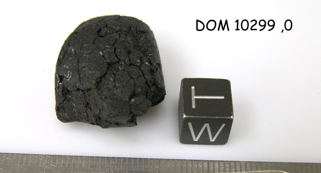Lab Photo of Sample DOM 10299 Showing West View