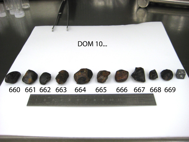 Lab Group Photo of Sample DOM 10660 Displaying North Orientation