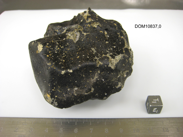 Lab Photo of Sample DOM 10837 Showing East View