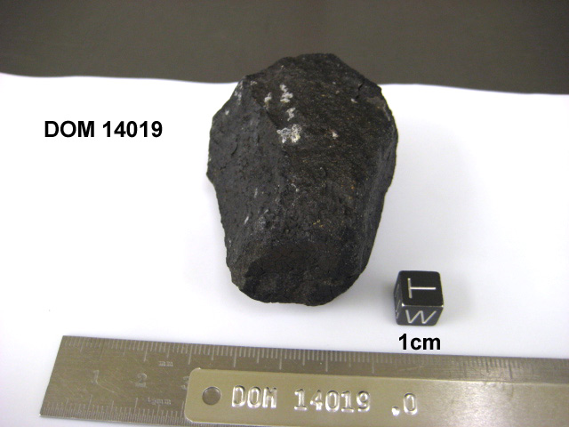 Lab Photo of Sample DOM 14019 Displaying West Orientation