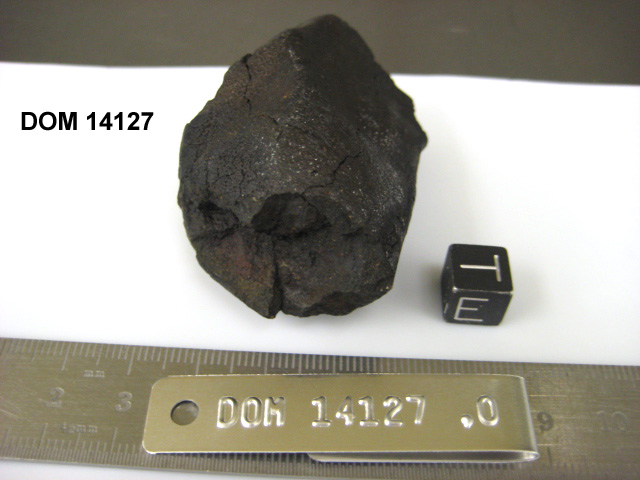 Lab Photo of Sample DOM 14127 Displaying East Orientation