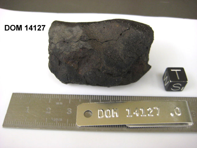 Lab Photo of Sample DOM 14127 Displaying South Orientation