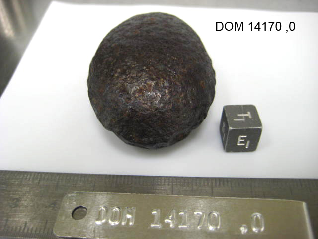 Lab Photo of Sample DOM 14170 Displaying East Orientation