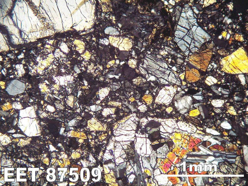 Thin Section Photograph of Sample EET 87509 in Cross-Polarized Light