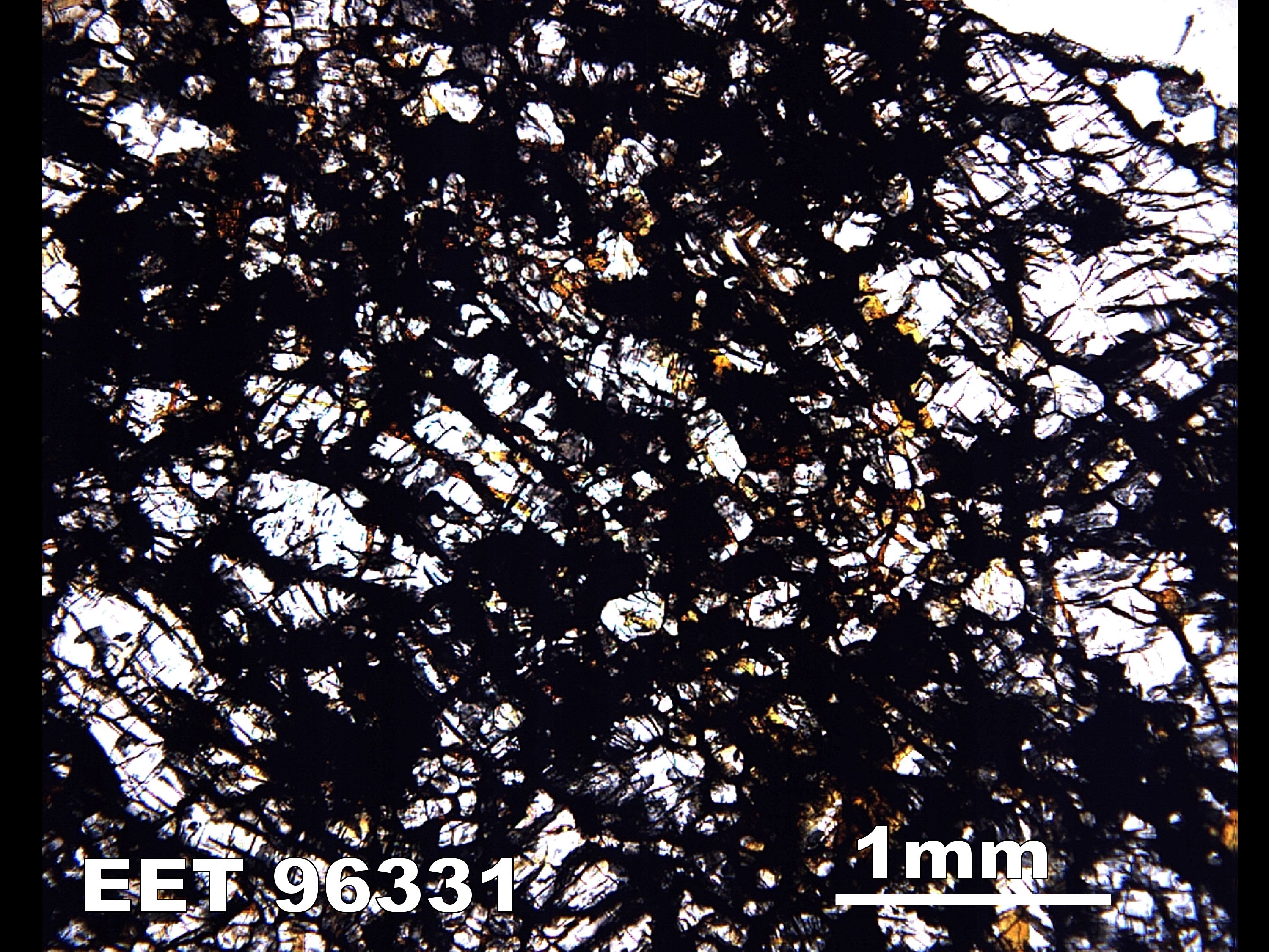 Thin Section Photograph of Sample EET 96331 in Plane-Polarized Light