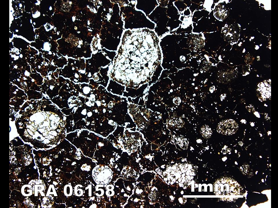 Thin Section Photograph of Sample GRA 06158 in Plane-Polarized Light