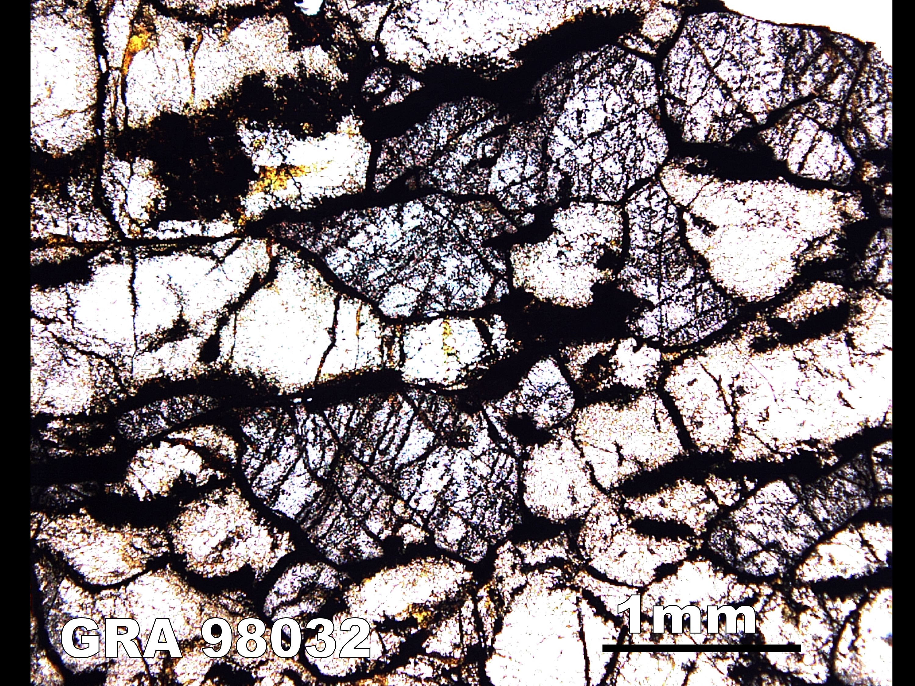 Thin Section Photograph of Sample GRA 98032 in Plane-Polarized Light
