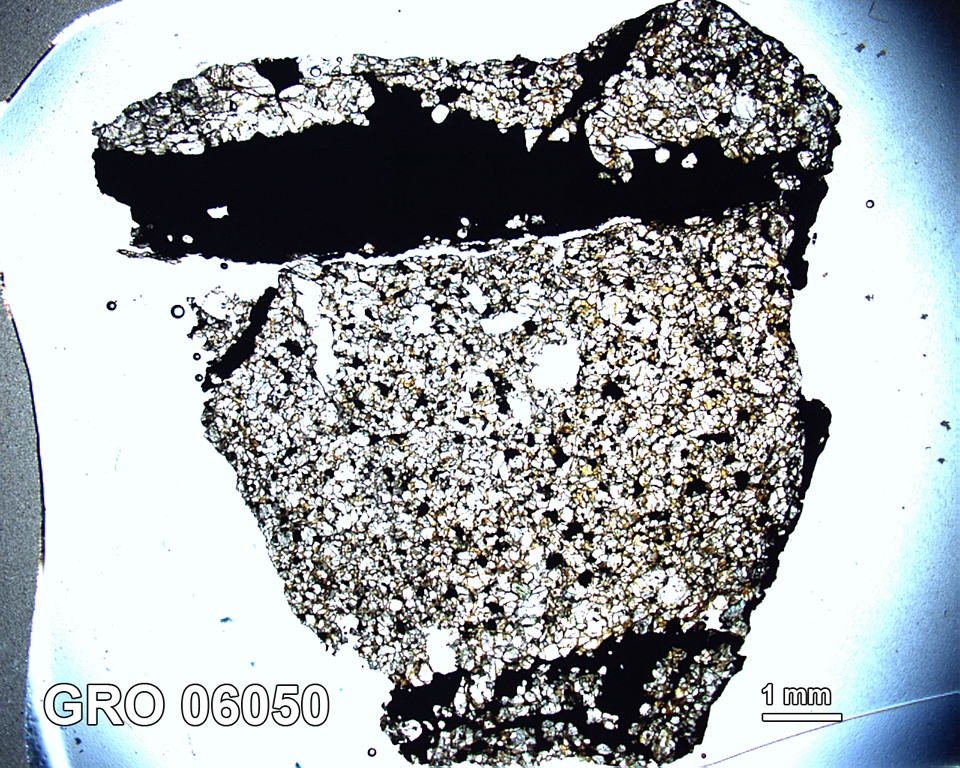 Thin Section Photograph of Sample GRO 06050 in Plane-Polarized Light