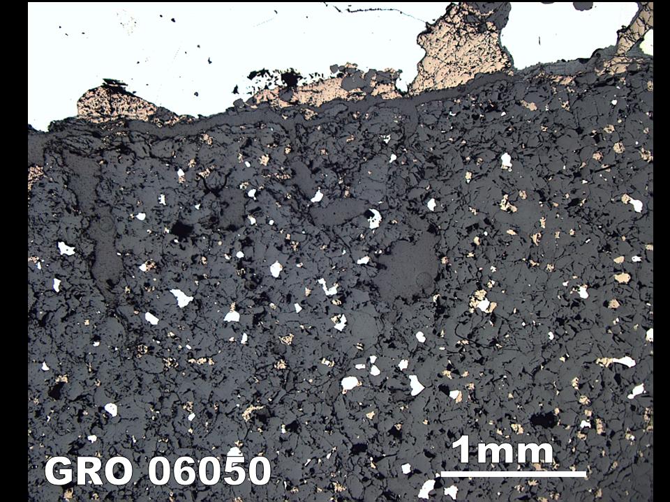 Thin Section Photograph of Sample GRO 06050 in Reflected Light