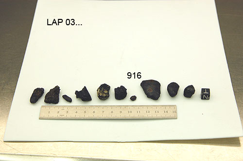 Lab Photo of Sample LAP 03916