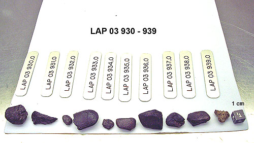 Lab Photo of Sample LAP 03930