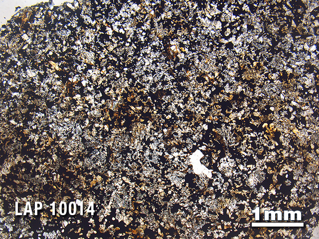 Thin Section Photo of Sample LAP 10014 in Plane-Polarized Light with 1.25X Magnification