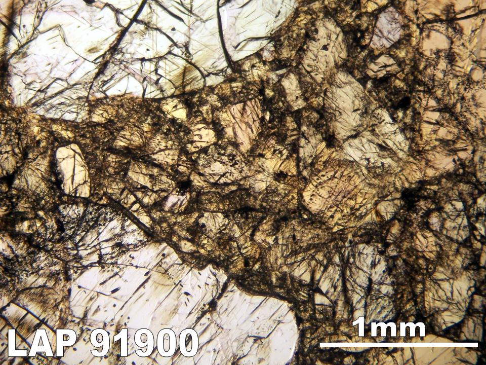 Thin Section Photograph of Sample LAP 91900 in Plane-Polarized Light