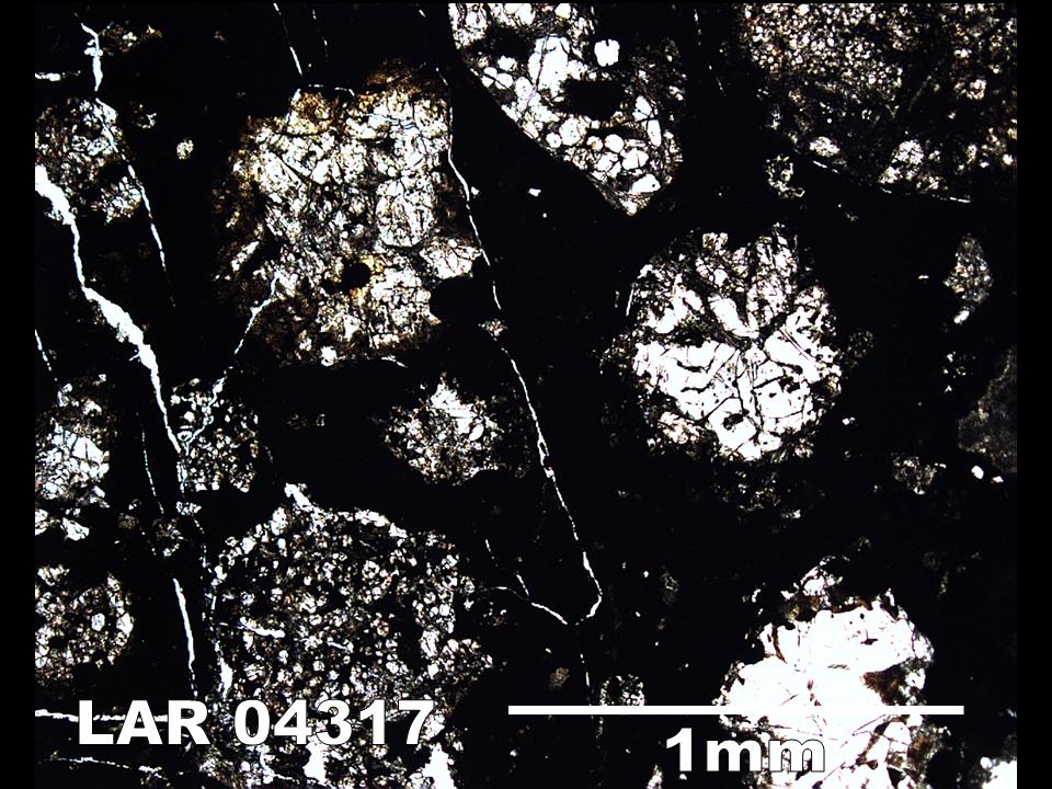 Thin Section Photograph of Sample LAR 04317 in Plane-Polarized Light