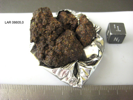 LAR 06605 Meteorite Sample Photograph
