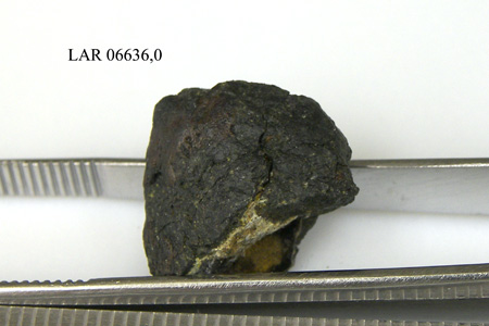 LAR 06636 Meteorite Sample Photograph