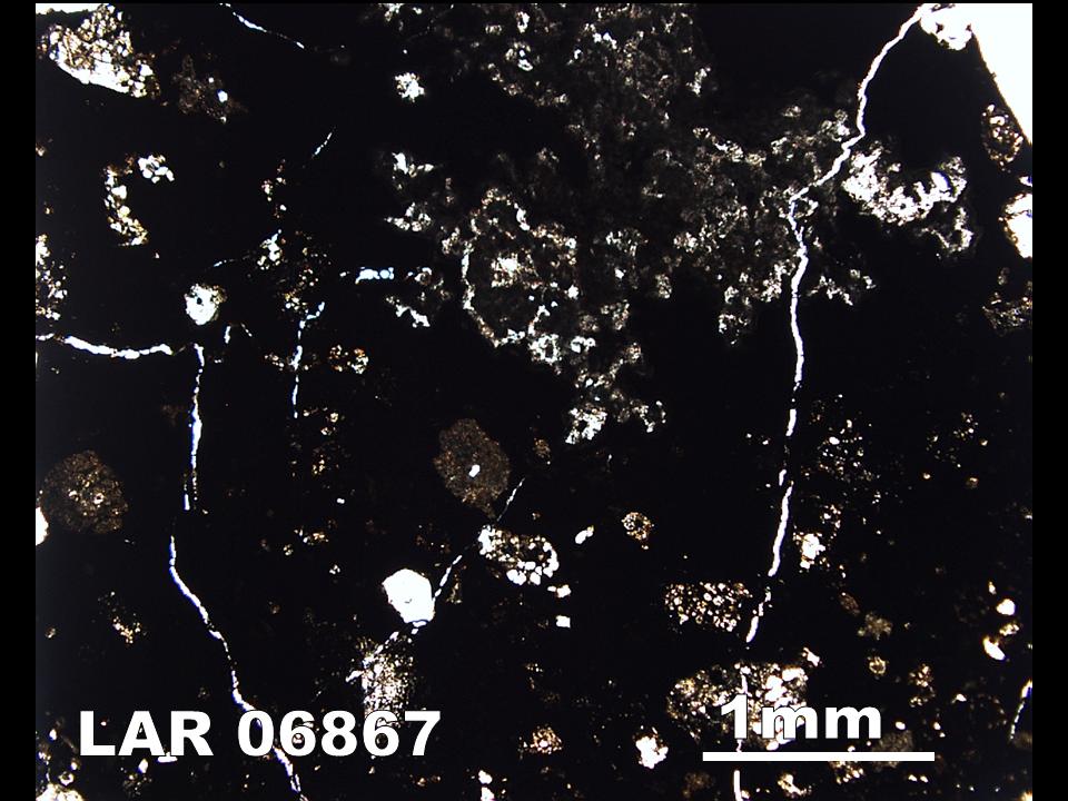 Thin Section Photograph of Sample LAR 06867 in Plane-Polarized Light