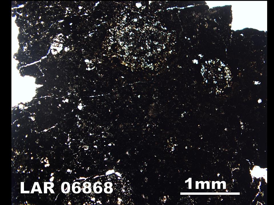 Thin Section Photograph of Sample LAR 06868 in Plane-Polarized Light