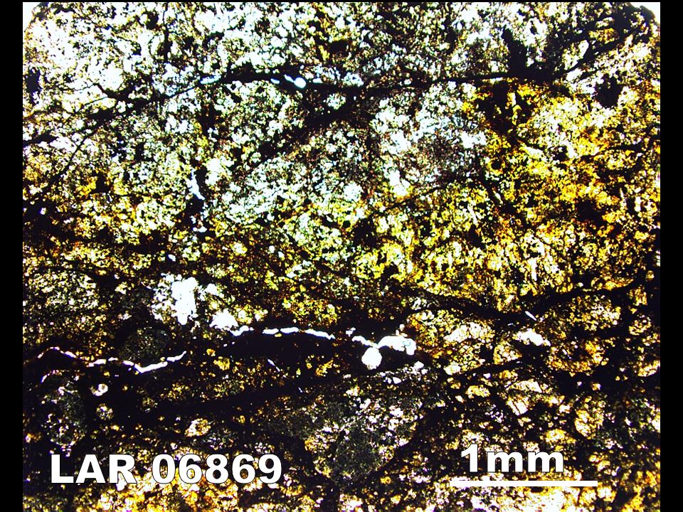 Thin Section Photograph of Sample LAR 06869 in Plane-Polarized Light