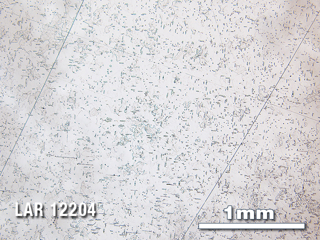Thin Section Photo of Sample LAR 12204 in Reflected Light with 2.5X Magnification