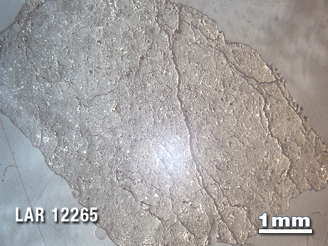 Thin Section Photo of Sample LAR 12265 in Reflected Light with 1.25X Magnification