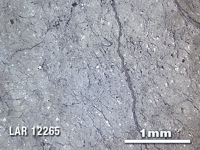 Thin Section Photo of Sample LAR 12265 in Reflected Light with 2.5X Magnification