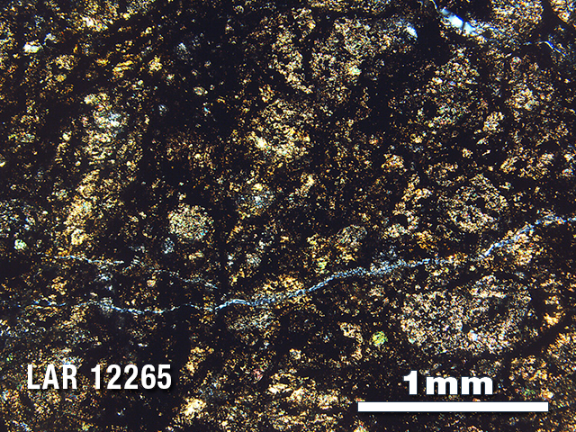 Thin Section Photo of Sample LAR 12265 in Cross-Polarized Light with 2.5X Magnification