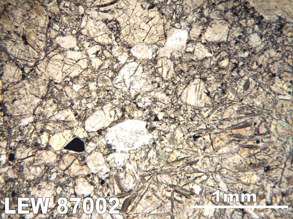 Thin Section Photograph of Sample LEW 87002 in Plane-Polarized Light