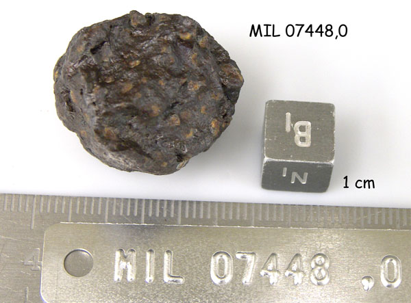 Lab Photo of Sample MIL 07448 Showing Bottom View