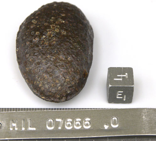Lab Photo of Sample MIL 07666 Showing East View