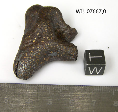 Lab Photo of Sample MIL 07667 Showing West View