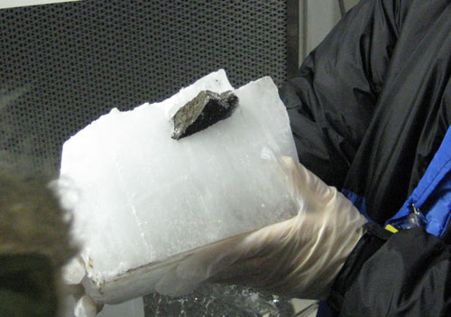 Lab Photo of Sample MIL 07710 Protruding from Ice After Ice Block Cut in Lab