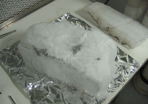 Lab Photo of Sample MIL 07710 Encased in Ice Prior to Removal in Lab