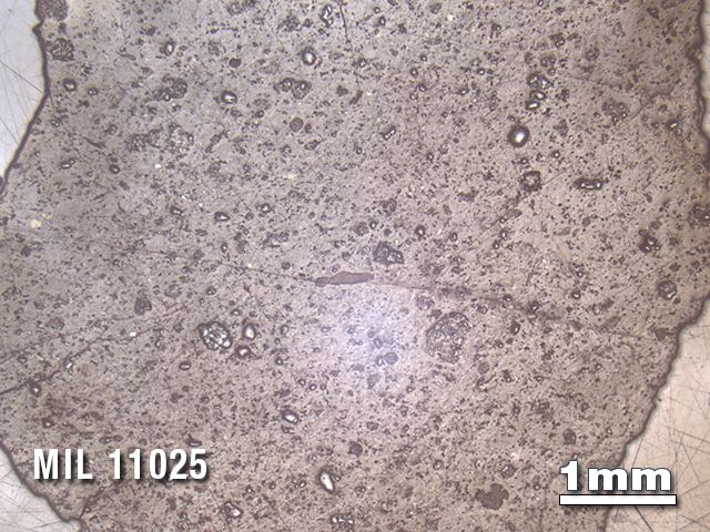 Thin Section Photo of Sample MIL 11025 in Reflected Light with 1.25X Magnification