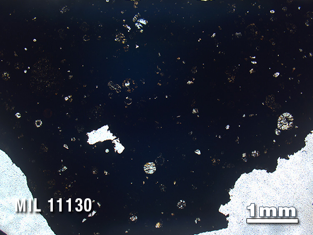 Thin Section Photo of Sample MIL 11130 in Plane-Polarized Light with 1.25X Magnification
